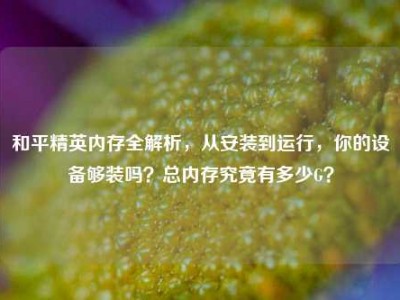 和平精英内存全解析，从安装到运行，你的设备够装吗？总内存究竟有多少G？