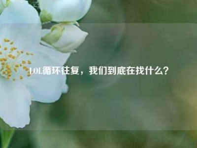 LOL循环往复，我们到底在找什么？