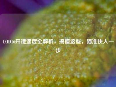 COD16开镜速度全解析，搞懂这些，瞄准快人一步