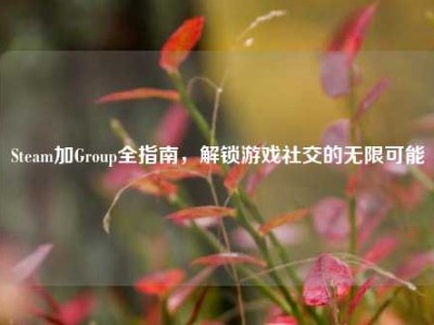 Steam加Group全指南，解锁游戏社交的无限可能