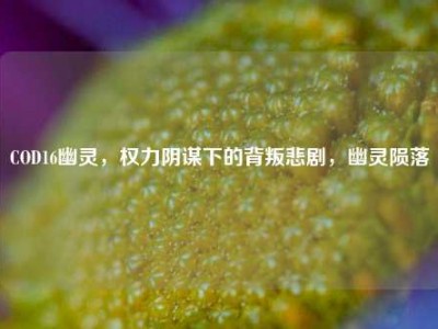COD16幽灵，权力阴谋下的背叛悲剧，幽灵陨落