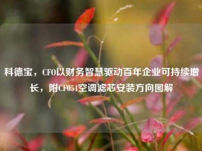 科德宝，CFO以财务智慧驱动百年企业可持续增长，附CF054空调滤芯安装方向图解