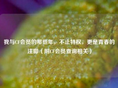 我与CF会员的那些年，不止特权，更是青春的注脚（附CF会员查询相关）