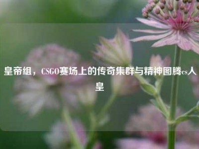 皇帝组，CSGO赛场上的传奇集群与精神图腾cs人皇