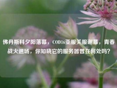 佛丹斯科夕阳落幕，COD16亚服关服谢幕，青春战火退场，你知晓它的服务器曾在何处吗？
