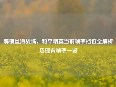 解锁丝滑战场，和平精英当前帧率档位全解析及现有帧率一览