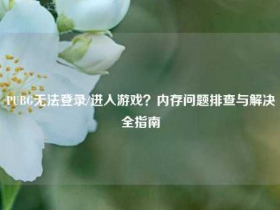 PUBG无法登录/进入游戏？内存问题排查与解决全指南