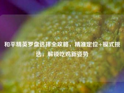和平精英罗盘选择全攻略，精准定位+模式挑选，解锁吃鸡新姿势