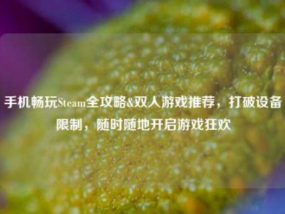 手机畅玩Steam全攻略&双人游戏推荐，打破设备限制，随时随地开启游戏狂欢