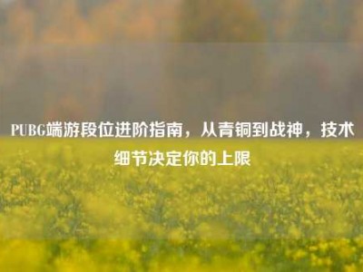 PUBG端游段位进阶指南，从青铜到战神，技术细节决定你的上限