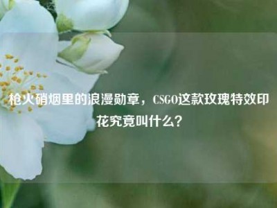 枪火硝烟里的浪漫勋章，CSGO这款玫瑰特效印花究竟叫什么？