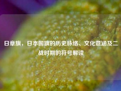 日章旗，日本国旗的历史脉络、文化意涵及二战时期的符号解读