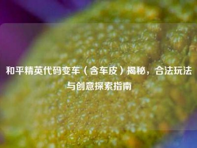 和平精英代码变车（含车皮）揭秘，合法玩法与创意探索指南