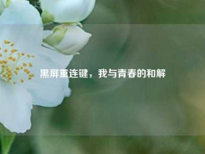 黑屏重连键，我与青春的和解
