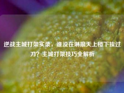 逆战主城打架实录，谁没在琳琅天上楼下挨过刀？主城打架技巧全解析