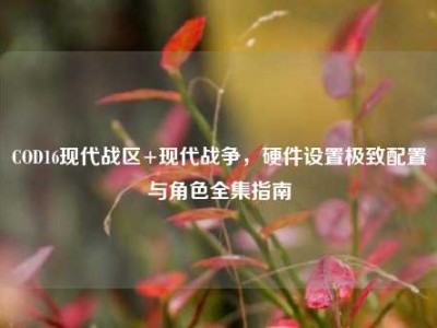 COD16现代战区+现代战争，硬件设置极致配置与角色全集指南