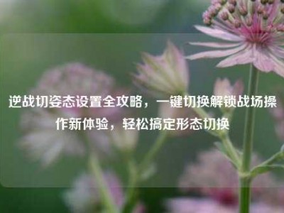 逆战切姿态设置全攻略，一键切换解锁战场操作新体验，轻松搞定形态切换