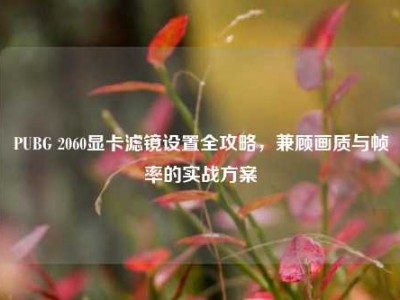 PUBG 2060显卡滤镜设置全攻略，兼顾画质与帧率的实战方案