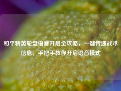 和平精英轮盘语音开启全攻略，一键传递战术信息，手把手教你开启语音模式