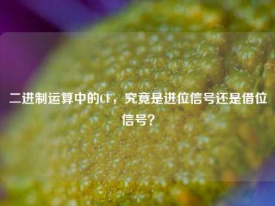 二进制运算中的CF，究竟是进位信号还是借位信号？