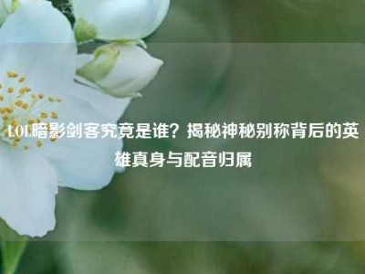 LOL暗影剑客究竟是谁？揭秘神秘别称背后的英雄真身与配音归属