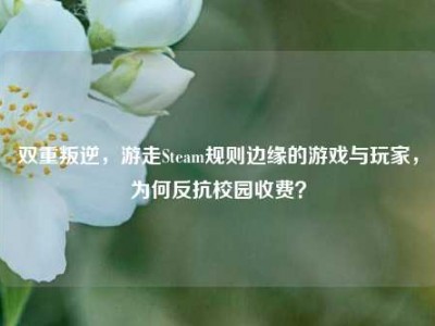 双重叛逆，游走Steam规则边缘的游戏与玩家，为何反抗校园收费？