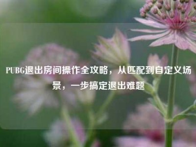 PUBG退出房间操作全攻略，从匹配到自定义场景，一步搞定退出难题