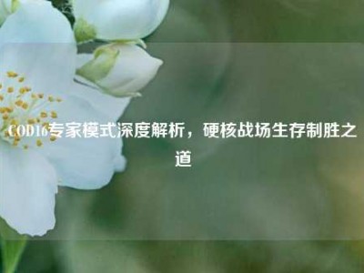 COD16专家模式深度解析，硬核战场生存制胜之道