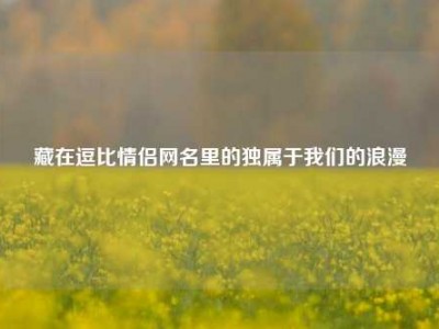 藏在逗比情侣网名里的独属于我们的浪漫