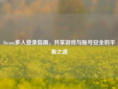 Steam多人登录指南，共享游戏与账号安全的平衡之道