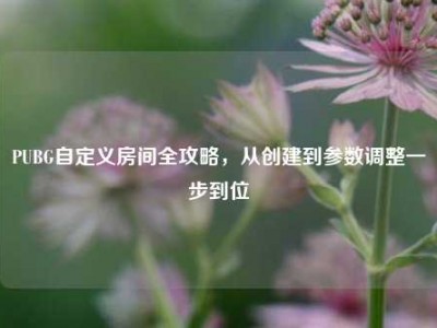 PUBG自定义房间全攻略，从创建到参数调整一步到位