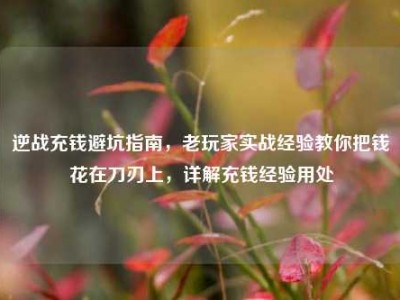 逆战充钱避坑指南，老玩家实战经验教你把钱花在刀刃上，详解充钱经验用处