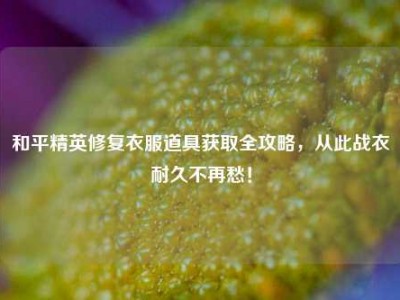 和平精英修复衣服道具获取全攻略，从此战衣耐久不再愁！