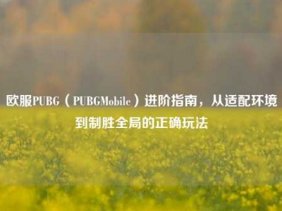 欧服PUBG（PUBGMobile）进阶指南，从适配环境到制胜全局的正确玩法