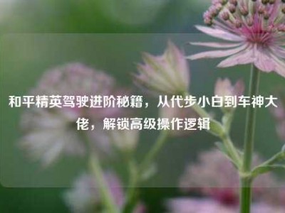 和平精英驾驶进阶秘籍，从代步小白到车神大佬，解锁高级操作逻辑