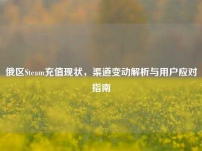 俄区Steam充值现状，渠道变动解析与用户应对指南