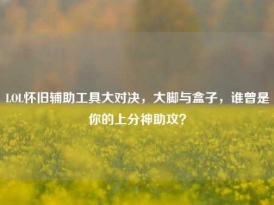 LOL怀旧辅助工具大对决，大脚与盒子，谁曾是你的上分神助攻？