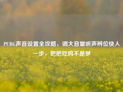 PUBG声音设置全攻略，调大音量听声辨位快人一步，把把吃鸡不是梦