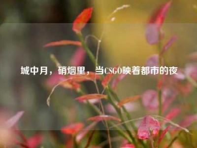城中月，硝烟里，当CSGO映着都市的夜