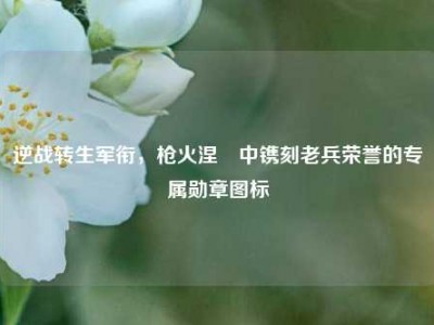 逆战转生军衔，枪火涅槃中镌刻老兵荣誉的专属勋章图标
