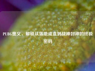 PUBG奥义，解锁从落地成盒到战神封神的终极密码