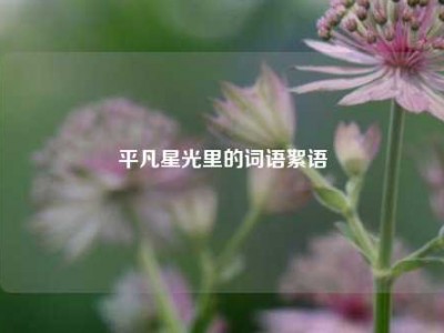 平凡星光里的词语絮语