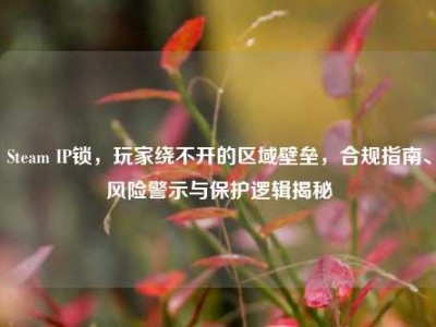 Steam IP锁，玩家绕不开的区域壁垒，合规指南、风险警示与保护逻辑揭秘
