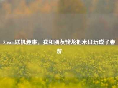 Steam联机趣事，我和朋友骑龙把末日玩成了春游