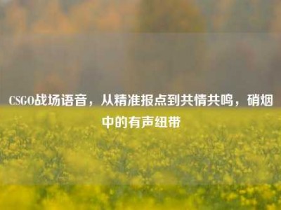 CSGO战场语音，从精准报点到共情共鸣，硝烟中的有声纽带
