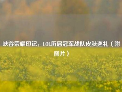 峡谷荣耀印记，LOL历届冠军战队皮肤巡礼（附图片）