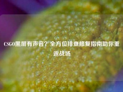 CSGO黑屏有声音？全方位排查修复指南助你重返战场