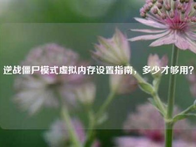 逆战僵尸模式虚拟内存设置指南，多少才够用？