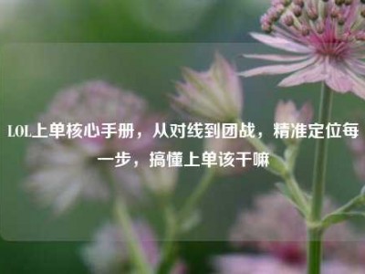 LOL上单核心手册，从对线到团战，精准定位每一步，搞懂上单该干嘛