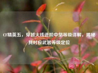 CF精英五，穿越火线进阶中坚等级详解，揭秘其对应武器等级定位